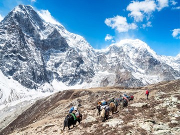 Mt. Khailash tour